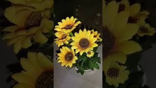 sunflowerr