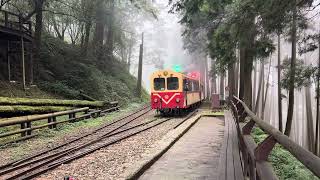 阿里山林業鐵路 5次阿里山號列車 神木站進站