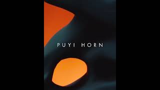 【#PuyiExclusive・ PUYI HORN New Styles 302 – 304】