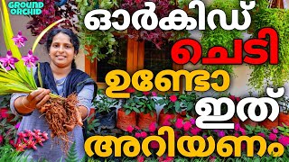 ഓർക്കിഡ് ചെടികളെക്കുറിച്ച്|J4u|About orchid plants