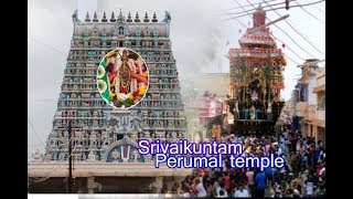 Sri Vaikutanathar Perumal Temple | Navathirupathi | Srivaikuntam || joe tv