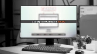 Managing Custom Attributes