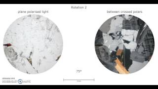 Two mica granite P5471 R2 - Virtual Microscope