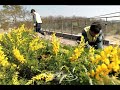 변상욱의 기자수첩 미래창조는 숲 속에 있다 20130405