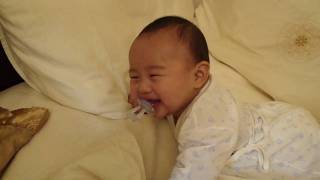 笑瘋的嬰兒 laughing baby