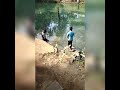 amazing net fishing vala veeshal short thahnanvlog