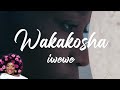 Wakakosha (Official Lyric Video) By Janet Manyowa | JanetManyowaMusic.co