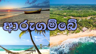 💕ආරුගම්බේ 💕 Surfing, Sunsets Arugam Bay 💕 Dhil Wickaramanayake 💕