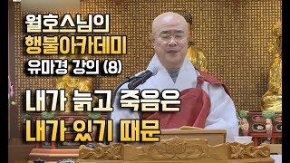 내가 늙고 죽음은 내가 있기 때문 [월호스님의 행불아카데미 유마경강의 8회]