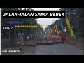 Jalan-jalan Sore Sama BEBEK