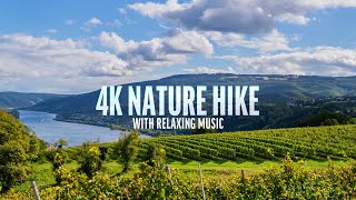 Virtual Nature Hiking Tour from Germany’s Rhine River Valley Countryside