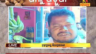 ୨ସପ୍ତାହରେ ୩ଗୁଣା ହେଲା ଆଳୁ ଦର | Nandighoshatv