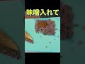 【アジ料理】釣ったアジをなめろうにして食べる！！