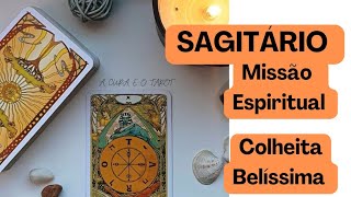 Sagitário🦋Missão espiritual e propósito. A colheita é certa, leitura muito espiritual 🪬