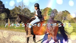 Fabsome Horses Episode 3:  Horse Lessons | Photo Shoot | Enjoying Life