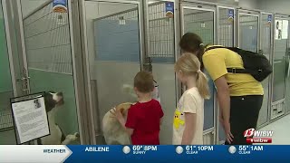 Helping Hands Humane Society offering free dog adoption special