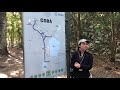 Visiting the Ancient Mayan ruins of Coba in Quintana Roo, Mexico with AllTourNative