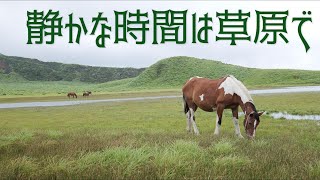 ♯44  熊本県「静かな時間は草原で」草千里ヶ浜→阿蘇山→白川水源 【日本一周 車中泊旅】