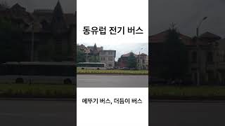 🇷🇴 볼때마다 신기한 동유럽 전기 버스 🚌 🚌