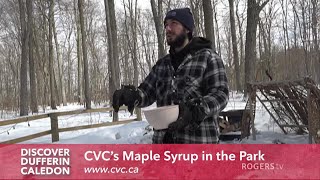 Discover Dufferin-Caledon - CVC Maple Syrup in the Park | Rogers tv