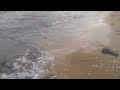 watching the waves at cleethorpes