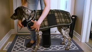 How to Fit the Shedrow K9 Glacier Dog Coat