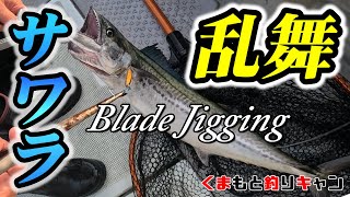 【サワラキャスティング】初めての鰆狙いで船上の爆釣劇！ Explosive Spanish mackerel fishing with blade jigging on BlueTripper