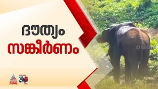 'മസ്തകത്തിൽ മുറിവേറ്റ അതിരപ്പിള്ളിയിലെ ആനയെ പിടികൂടാനുള്ള ദൗത്യം സങ്കീർണം'; മുഖ്യവനപാലകൻ