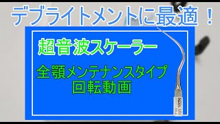 デブライトメントに最適！超音波スケーラーチップ「全顎メンテナンスタイプ」回転動画