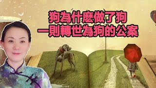 一則轉世為狗的公案！狗為什麽做了狗？揭秘慳貪的果報！