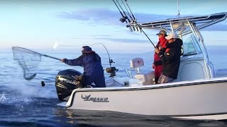 MAKO Boats: 214 CC Offshore Fishing Boat