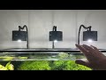 asta 120 80w led aquarium light update.