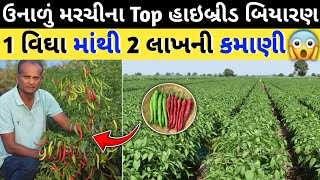 ઉનાળુ મરચીના ટોપ હાઇબ્રીડ બિયારણ | વિઘા માંથી લાખોની કમાણી થશે. #મરચા #મરચી