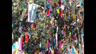 2013年　交野市　織物神社　七夕祭