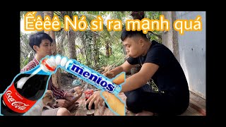 Thử Ăn Kẹo Mentos Uống Coca Cola Sẽ NTN? | (Experiment: Coca Cola Vs Mentos)