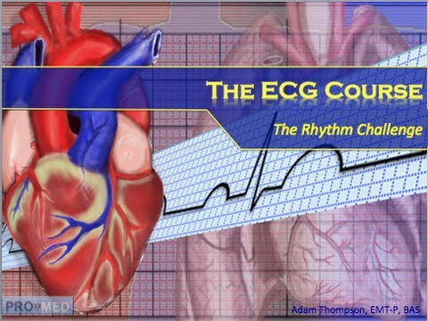 The Rhythm Challenge Youtube