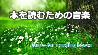 【読書の時に聞く音楽】作業用BGM│本を読むのに最適│森林浴の癒し