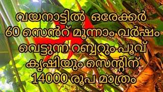 വയനാട്ടിൽ  ഒരേക്കർ 60 സെൻറ് മൂന്നാം വർഷം വെട്ടുന്ന റബ്ബറും പൂവ് കൃഷിയും സെന്റിന് 14000 രൂപ മാത്രം