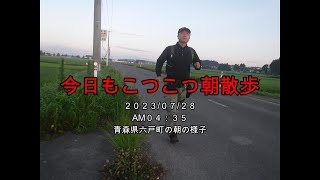 あっという間に週末だし月末だし！「今日もコツコツ朝散歩。」【えびてつチャンネル】