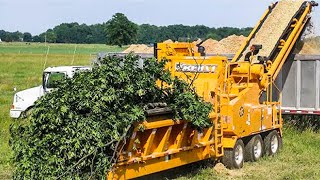 Extreme Big Whole Tree Chipper Machines Working, Fastest Stump Grinding Tree Harvester Excavator
