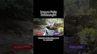 Iruppu Falls, Brahmagiri #iruppufalls #irpufalls #brahmagiri #madikeri #naturalswimmingpool #summer