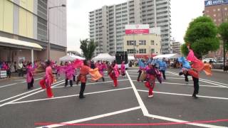 一宮七夕祭り２０１７　鳴子踊りイベント　【天・尾張組】①