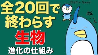 [19/20] 生物 〜進化の仕組み〜　ポケモンのアレは進化じゃなくて変態