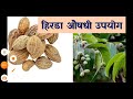 बहुपयॊगी बहुगुणी हिरडा health benefits of hirda हिरडा फायदे