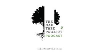 Healing from Rape & Sexual Assault - Podcast
