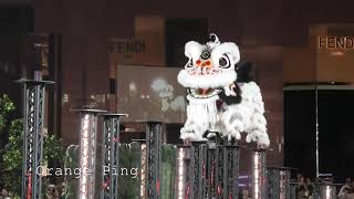 第二十八届義安城全国舞狮锦标赛 28th Ngee Ann City National Lion Dance Championships 2024 (3)