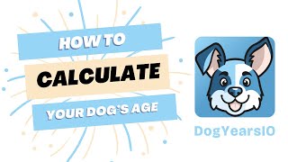 How To Calculate Your Dog's Age!