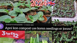 Which soil I use to germinate my vegetable seeds |  Shoker Bagan uk 2024