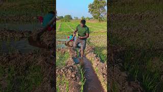 #Shetkari brand farmer#short video#