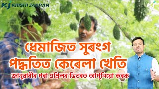 Modern Technique Of Bitter Gourd Farming।  কেৰেলা খেতিৰ নতুন পদ্ধতি।  Krishi Jagran Assam।